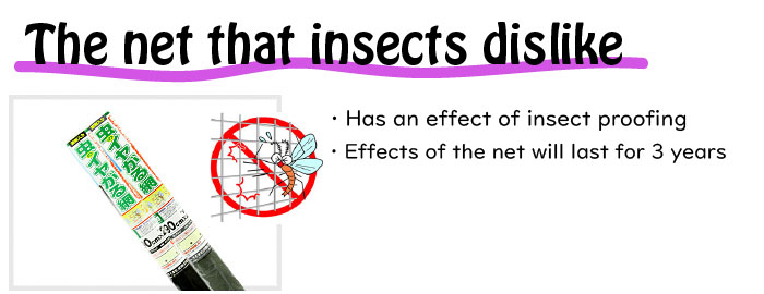 insects dislike